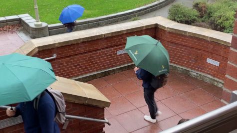 Digital Journalism: Seasonal Depression