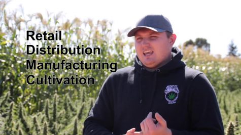 Digital Journalism: the Hemp Program