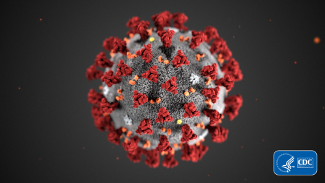 Risk of coronavirus spread low in California among seven confirmed cases