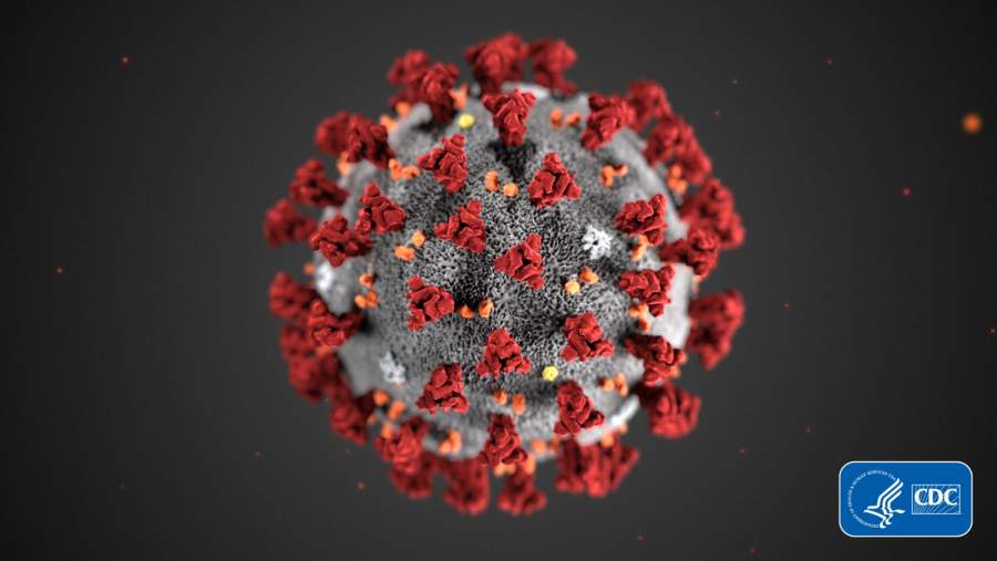 The novel coronavirus is a zoonotic virus originating in animals. The virus is believed to have been transmitted to humans at an open-air market in China towards the end of 2019. Sonoma County Department of Health and SRJC Student Health Services are advising precautions despite the low risk of the virus spreading from the seven confirmed cases in California.