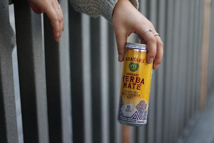 An SRJC student with a sparkling Guayaki relaxes along the fences of the Analy village on Jan 28.