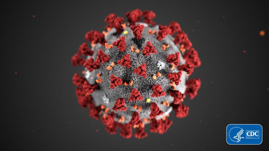 Coronavirus threatens to upend the spring semester at SRJC and the possibility of students missing more school this year looms large.