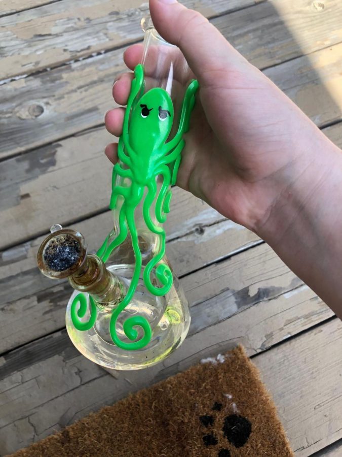 Willow Ornellas’s octopus bong provides her with great comfort when she is dealing with anxiety.