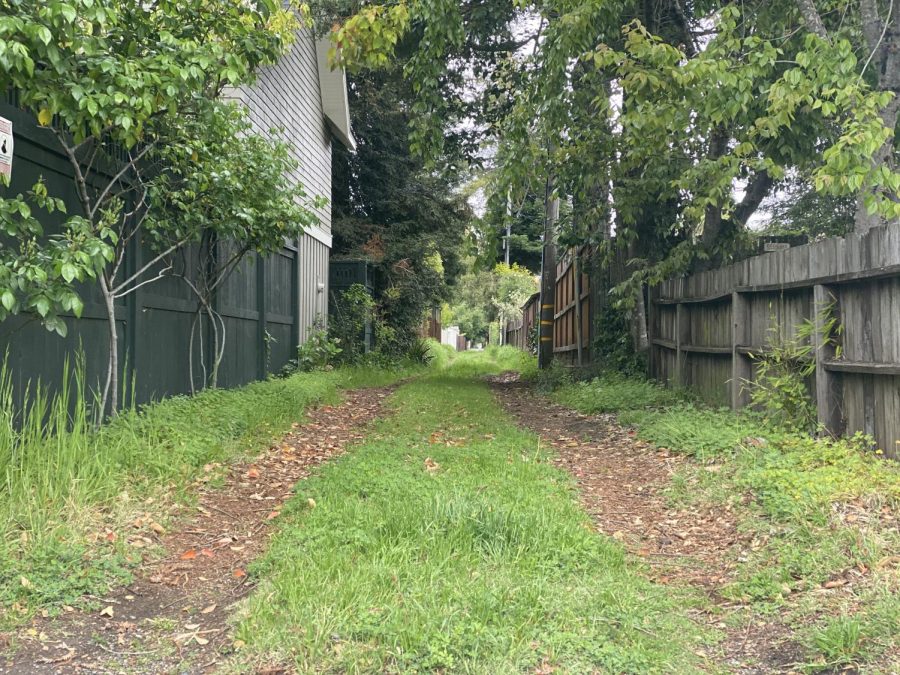 Central Santa Rosa's back alleys offer walkers a peaceful and calming respite from traffic and paved roads.
