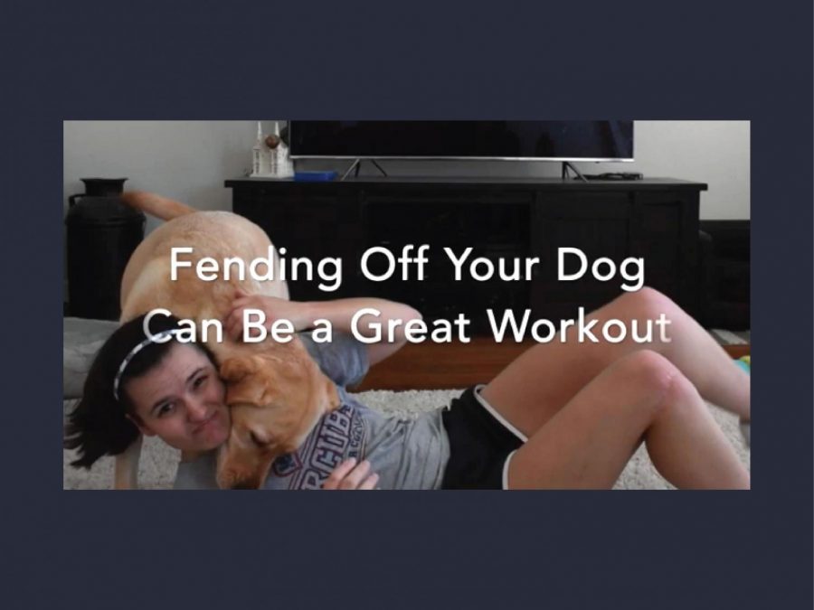 If the article's 10 workout ideas don't seem challenging enough, invite your dog to participate. 