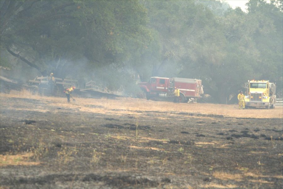 Firefighters review the remains of a vegetation fire along Calistoga Road.