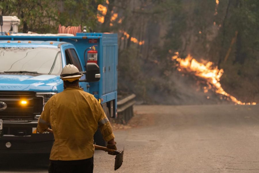 A firefighter returns from digging a gap on Saint Helena Road while fire burns on the hillside. 