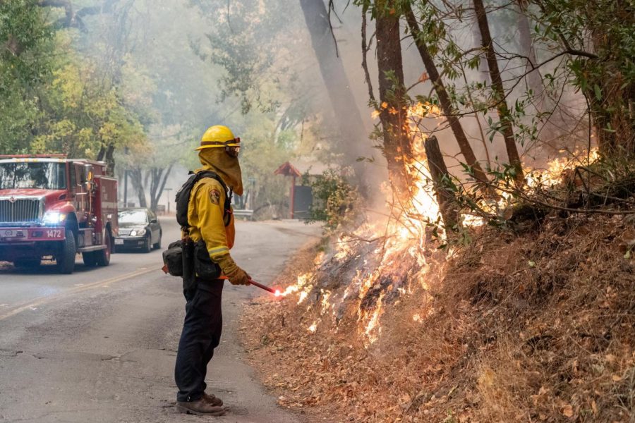 A firefighter observes the progress of a controlled burn on east Santa Rosas Saint Helena Road. 