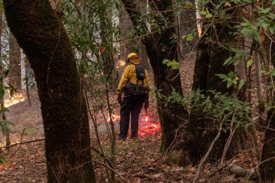 A Cal Fire crew strategically places his flare to complete a controlled burn Monday evening on Saint Helena Road in east Santa Rosa.