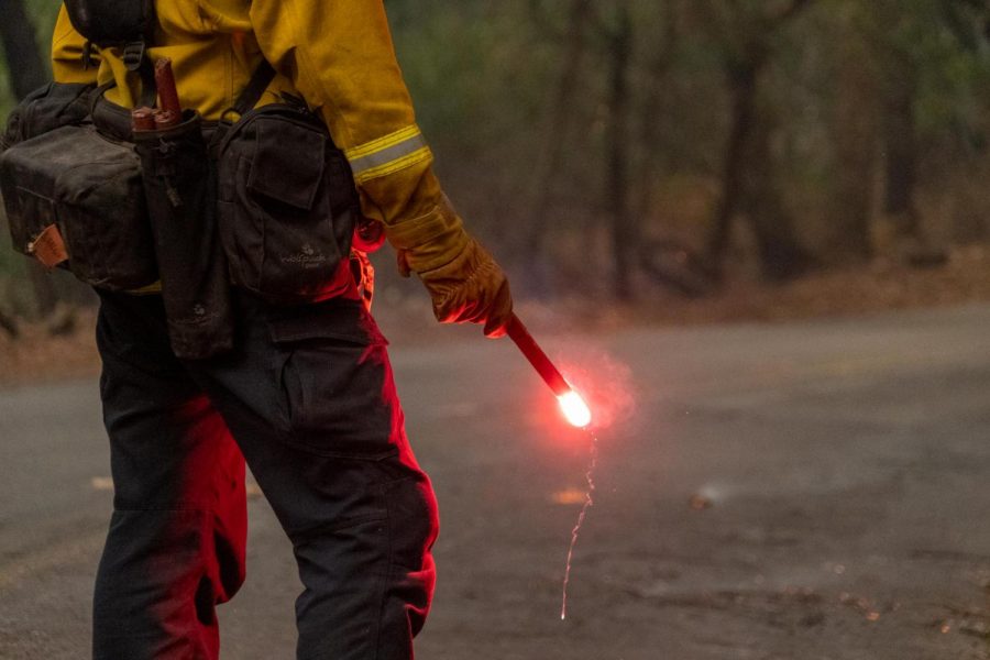 A firefighter strategically places his flare to complete a controlled burn on St. Helena Road.
