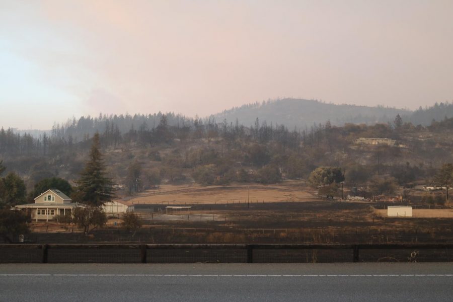 Fire damage along the hills of Hwy 12