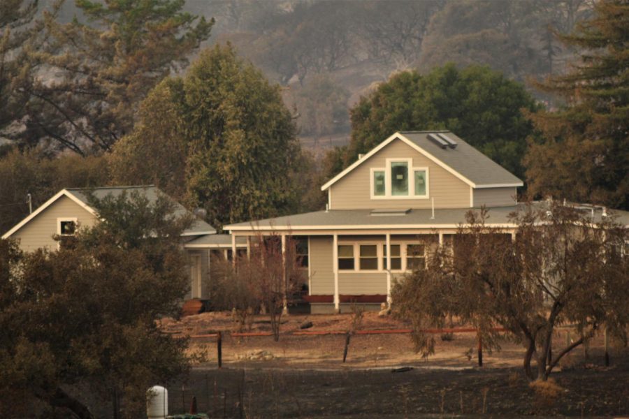 A farmhouse sits in the middle of charred oaks along Highway 12.