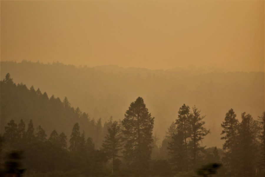 Smoke from the Glass Fire fills the sky over Highway 29.