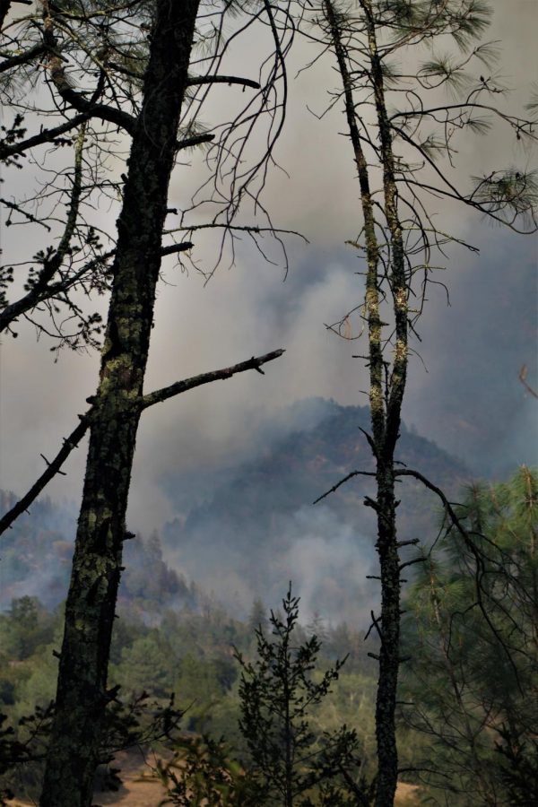 The Glass Fire burns in the Sonoma hills. 