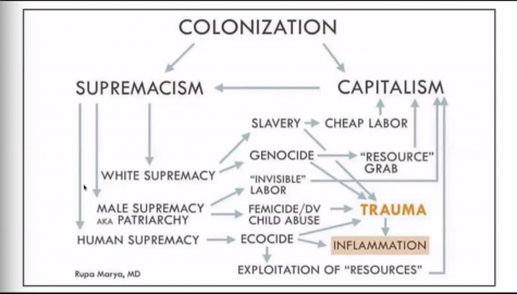 A graphic depicting the connection between colonization, supremacy and the engine of capitalism.