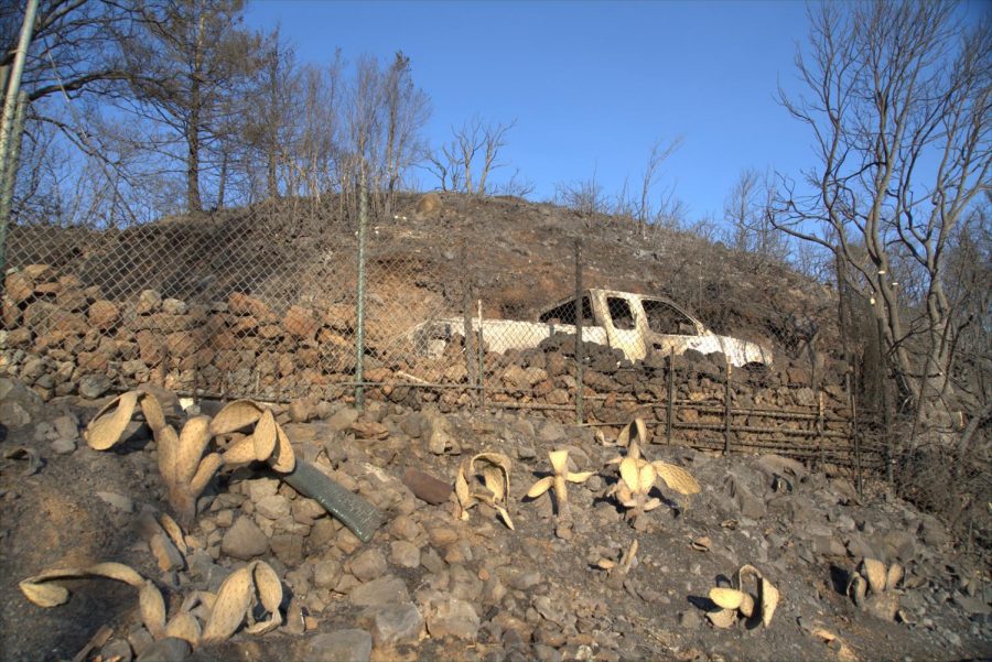 Shriveled cactus and destroyed truck on Los Alamos Road after Glass Fire