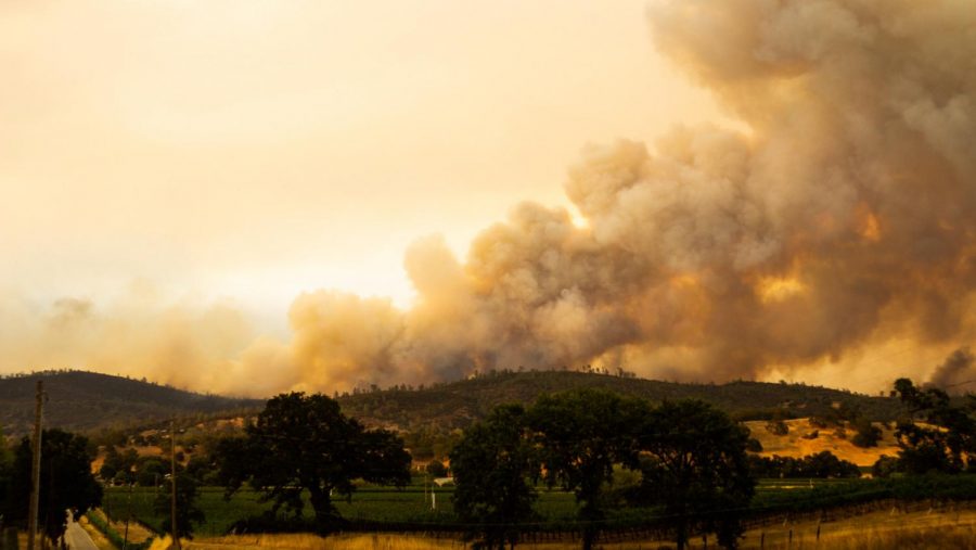 The LNU Lightning Complex Fire roared though five counties in 39 days and destroyed 363,220 acres. 