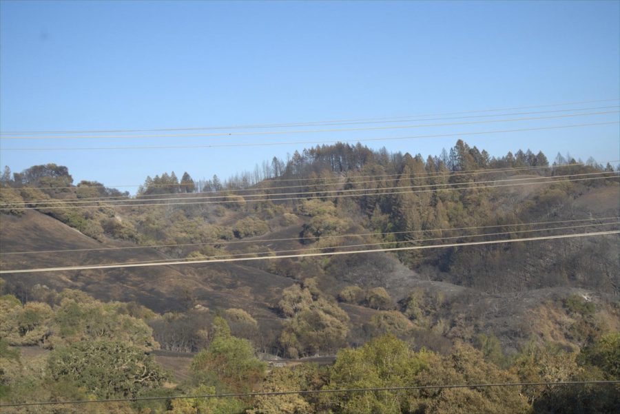 The Glass Fire burned in a mosaic pattern along the hills around Los Alamos Road