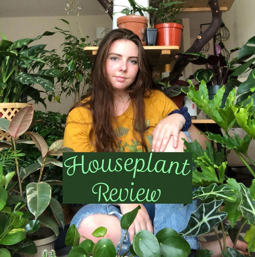 A girl in a yellow shirt and jeans sits surrounded by houseplants.