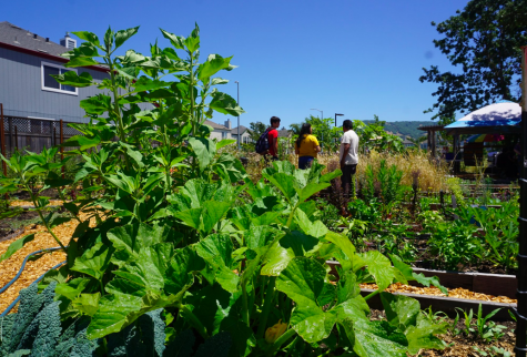 People stand with Bilingual Garden Specialist Jonathan Bravo in the middle of the garden plots at Andy's Unity Park Community Garden.