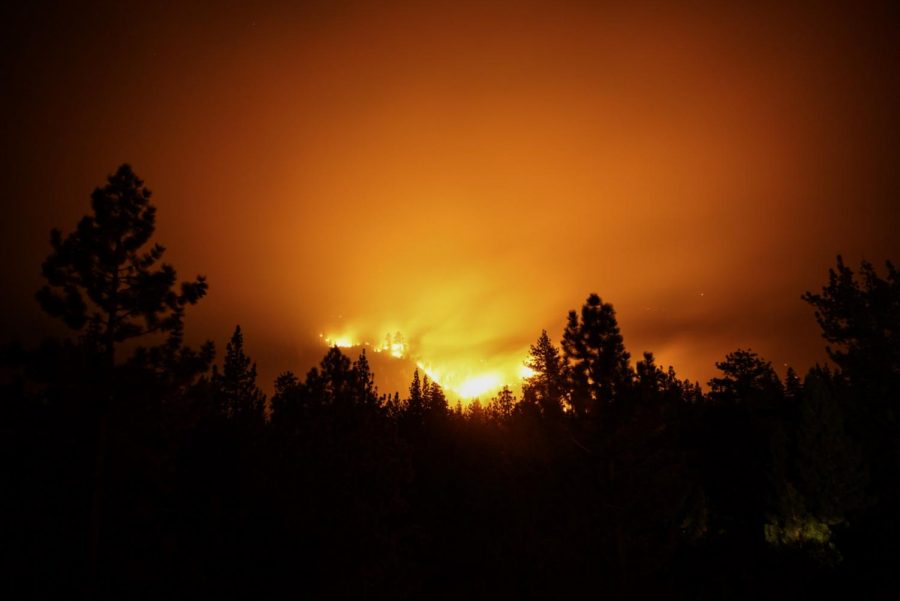 A picture of a dark skyline of trees with the orange glow of the Caldor Fire coming from behind the trees.