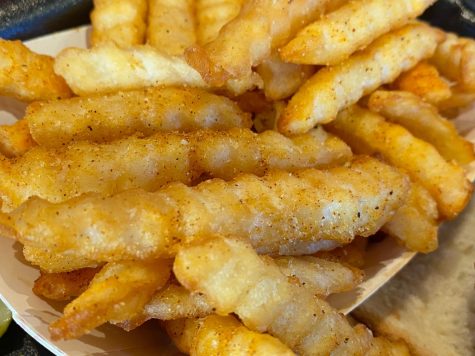 A close-up on some french fries.