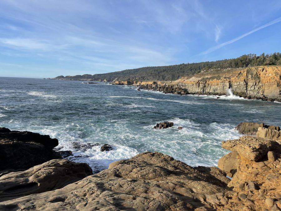 Stump Beach on the Sonoma Coast serves as the trailhead for hikes along the coastal bluffs or inland through redwoods, a coastal prairie and pygmy forest. 