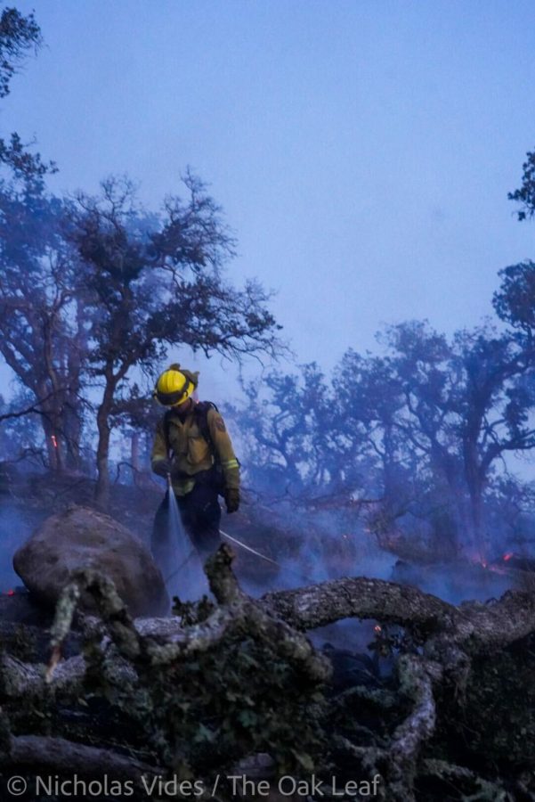 A firefighter sprays hot spots in Napa Countys oak woodlands near Soda Canyon Road during the May 31, 2022, Old Fire.