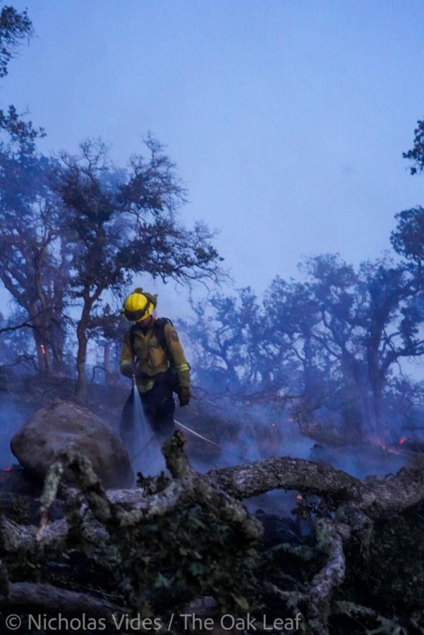 A firefighter sprays hot spots in Napa County's oak woodlands near Soda Canyon Road during the May 31, 2022, Old Fire.