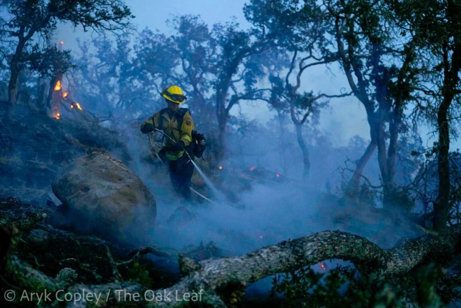 A firefighter in yellow gear stands amid smoldering and burning oak trees and a chest-height boulder to spray small fires five feet in front of him