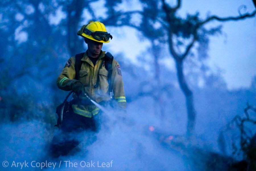 A white firefighter wearing a soot-stained yellow uniform and bright yellow helmet sprays a thin column of water on smoldering, fallen oak trees.