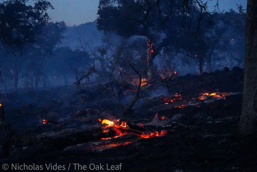 Burned trees litter the east side of Soda Canyon Road as the Old Fire pushes east over Atlas Peak, May 31, 2022, in Napa, California.