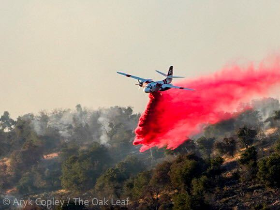 A white plane with red CalFire stripes and a red tail painted with the number 93 swoops close to the tree line to drop coral-colored retardant against a yellow-gray smoky sky.