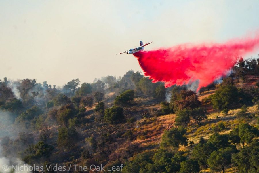 A white plane with a red tail painted with the number 79 dips close to a hilly oak woodland and drops a plume of coral-colored retardant on the green oak trees and brown grasses below.