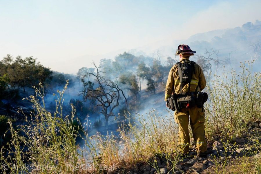 A white firefighter stands with their back to the camera wearing yellow gear, a black utility belt, and a read helmet watching smoke rise from the hilly oak woodland in front.