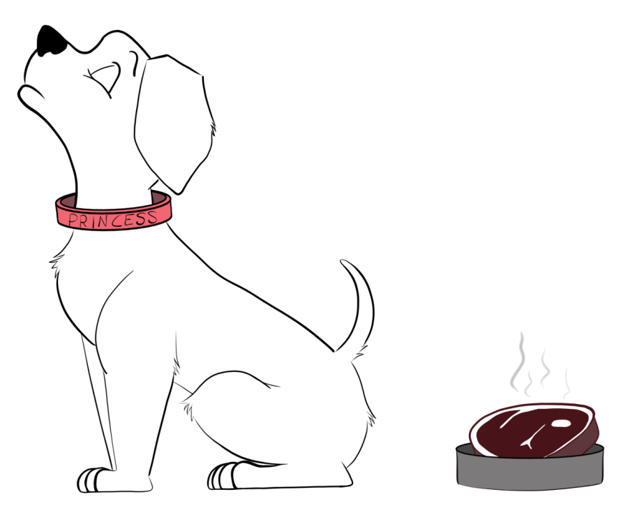 A drawing of a dog turning up their nose and facing away from a steaming cooked steak in a bowl. The dog has a collar with "Princess" on it.