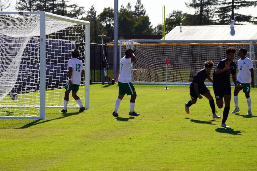 Bear Cubs midfielder Miguel Bustos (17) celebrates after scoring SRJCs first goal in a 2-1 win vs. Cañada College Sept. 13.