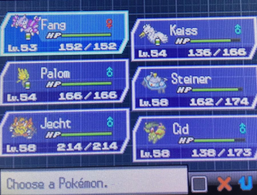 Only half of the team is ready to fight the Elite Four and Champion using only dual types whose types cannot overlap in Pokémon Black Version 2.