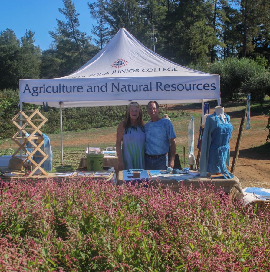 This is Craig Wilkinson's 5th year working on his Indigo Harvest project at the SRJC. Him and his wife Eva demonstrated how Indigo is processed into the natural blue dyes we know of today.
