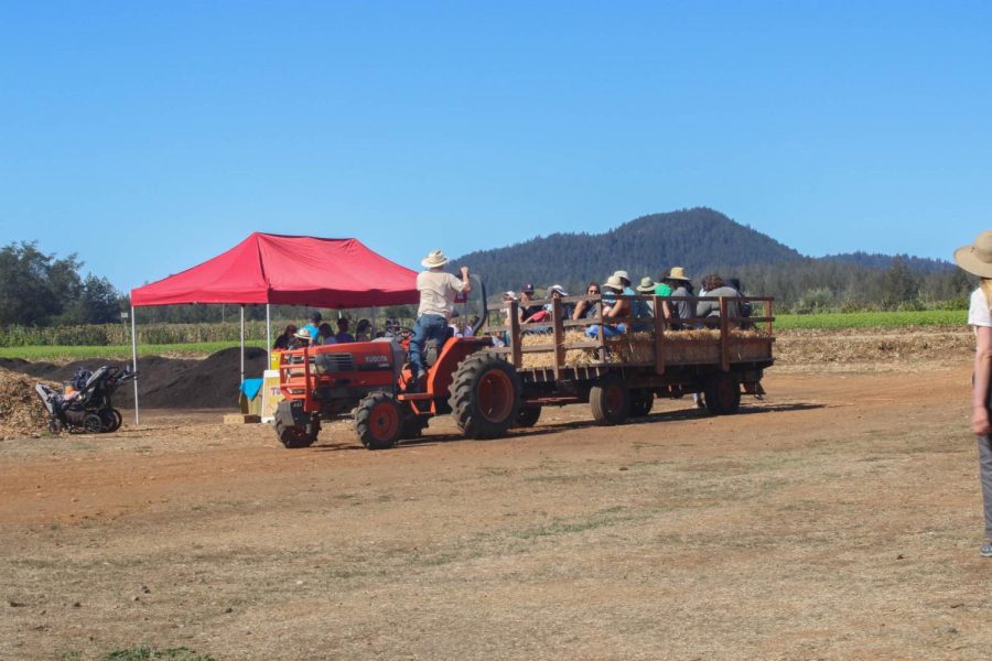 The Hayrides were among the most popular activities at the Fall Fest.