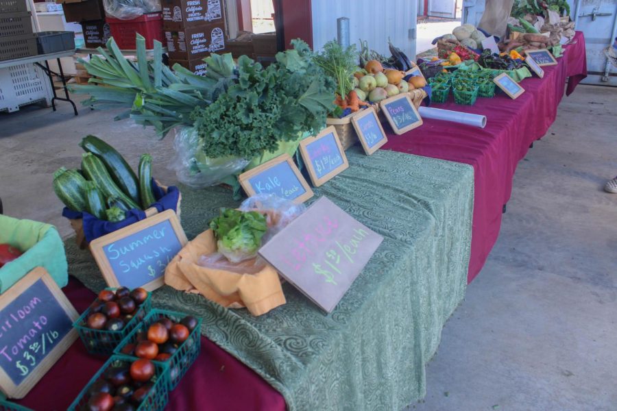 SRJC students grow all the produce sold at the Fall Festival.