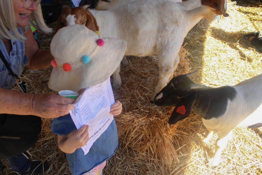 A grandmother had trouble getting her grandchild Aurora to warm up to the goats. 