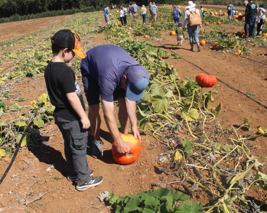 Pat Donahue and his son Jon come to the Fall Fest every year to look at the farm equipment and check out all the different varieties of fruit and vegetables grown at the farm. 