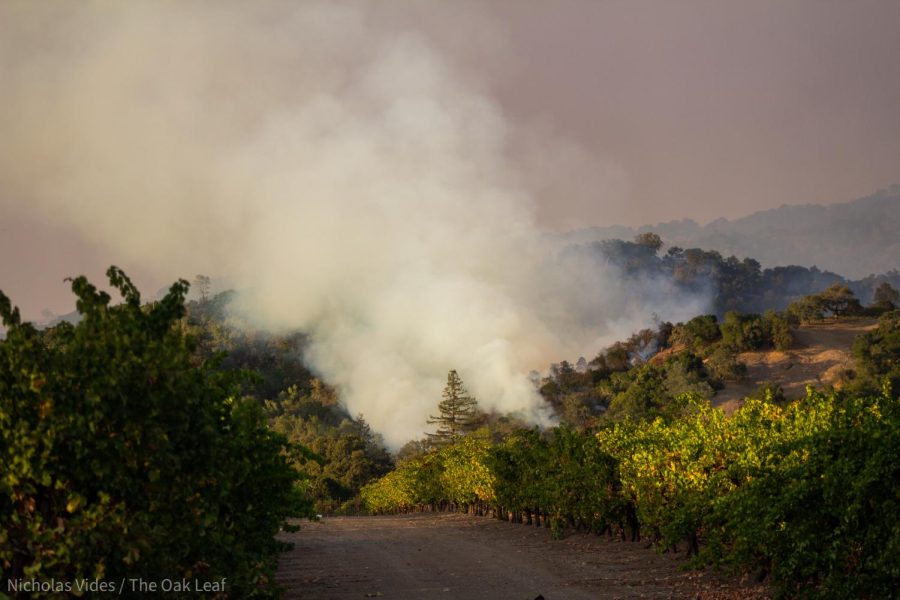 Should Proposition 30 pass, it would allot money for wildfire mitigation and help reduce the states carbon footprint. Lyft wrote and bankrolled the proposition. 