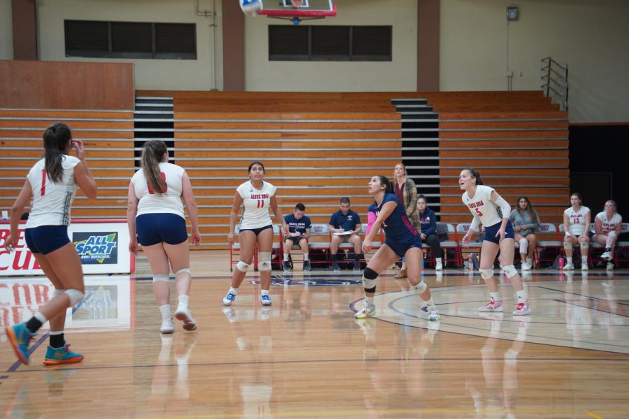 Bear Cubs Libero Daya Mosqueda digs the ball in the second set.