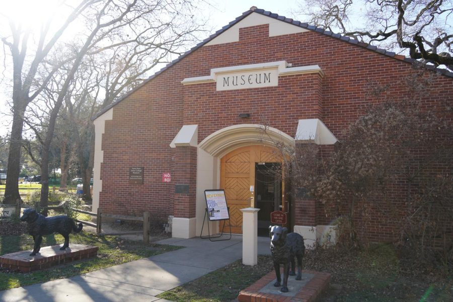 SRJC Multicultural Museum will host the Elsie Allen Pomo Basket Collection and have workshops to teach guests about the culture and tradition of the Pomo people and their relationship with basketweaving on March 3.