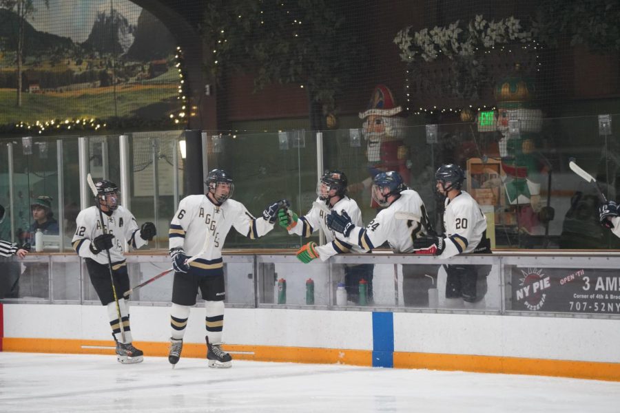 UC Davis forward Cameron Stone celebrates with teammates his second goal of the night against SRJC Jan. 27. 