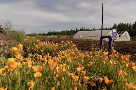 SRJC’s Shone Farm: a place where students can grow