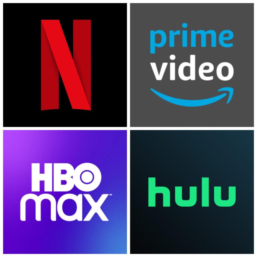 Streaming services like Netflix and Hulu provide a diversity of content that  ensures something for everyone.