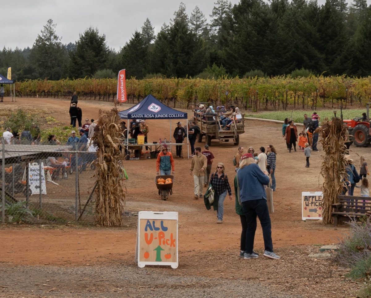 Shone Farm's Fall Festival hosts many harvest season activities, including "u-pick" produce, wine tasting, and farm stands on Oct. 14, 2023.